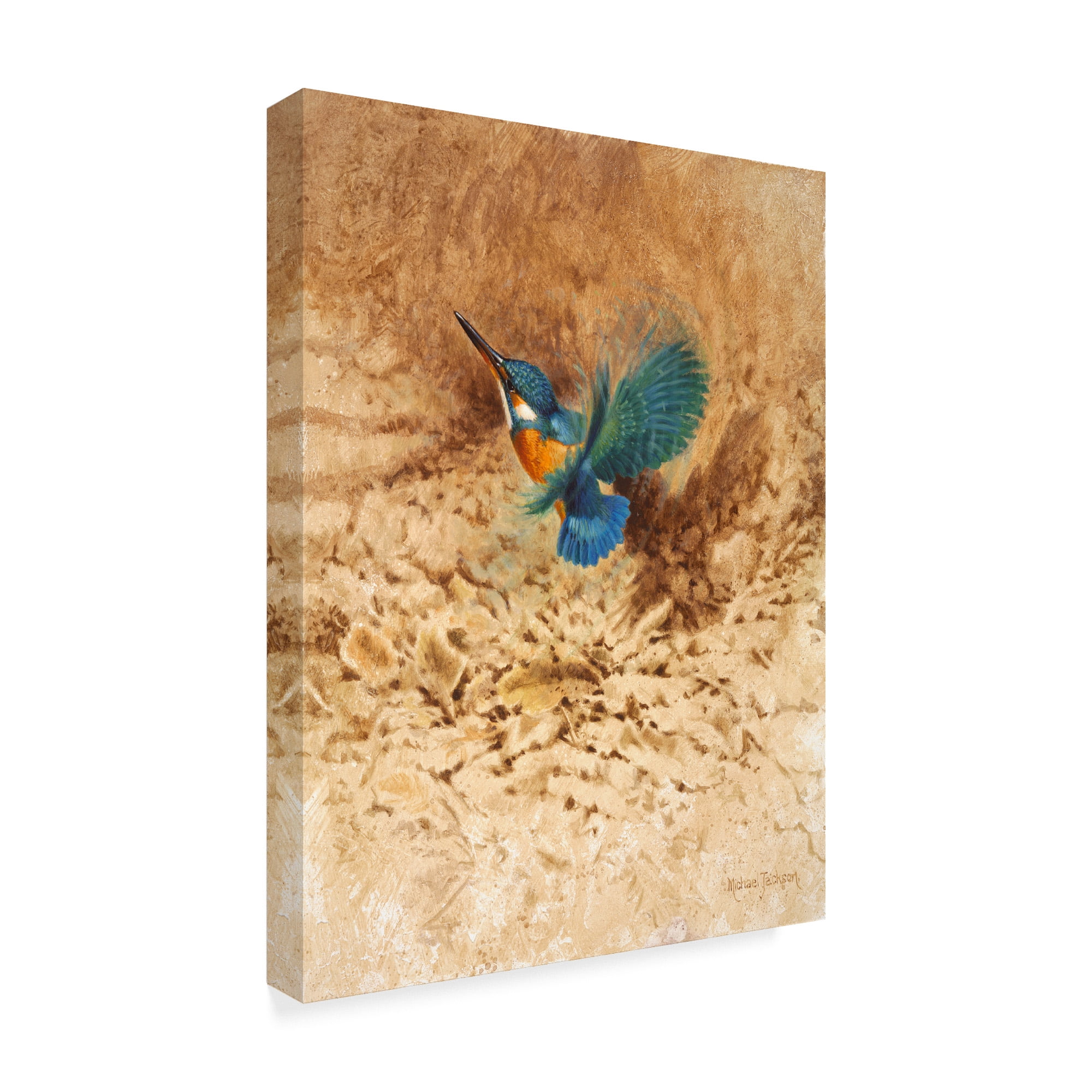 Kingfisher Study' Canvas Art by Michael Jackson