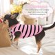 thumbnail image 3 of Ropa para Perros que Protege el Vientre Adecuada para la Primavera y el Otoño Pijamas Otoñales para Perritos y Gatos Ropa para Mascotas, 3 of 7