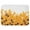 A, variant on Bizhua Bee Festival Indoor and Outdoor Decoration Doormat 40X60Cmbee Festival Decoration Door Mat Anti-Slip Bottom Indoor Outdoor Carpet