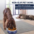 thumbnail image 4 of Stainless Steel Non-Slip Pet Bowl Stable, Durable, and Large Diameter Cat and Dog Food Bowl for Home Feeding, 4 of 7