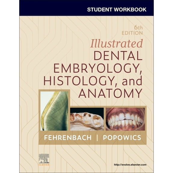 Student Workbook for Illustrated Dental Embryology, Histology and Anatomy, (Paperback)