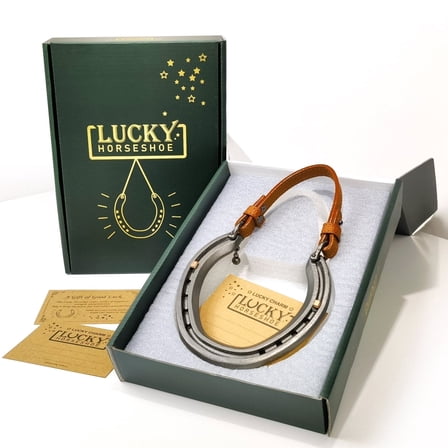 Lucky Horseshoe Gift Horseshoe Ornament