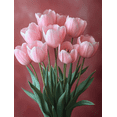 thumbnail image 1 of Qisvanset Framed Canvas Wall Art 12x16 Inch Pink Tulip Steadfast Love Coquette Easter Bible Art, 1 of 5