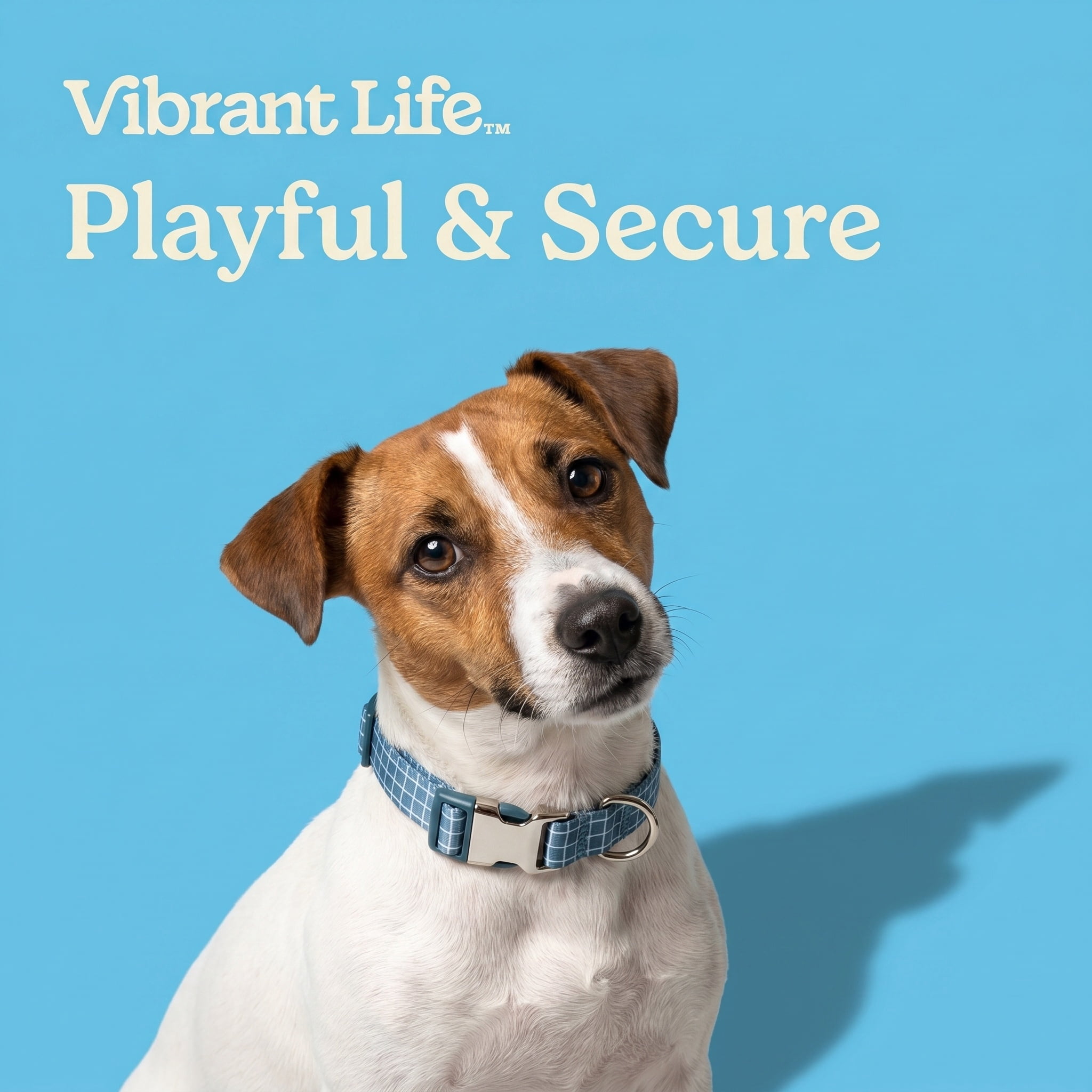 Vibrant Life Adjustable Fashion Dog Collar, Blue Grid, S