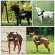 thumbnail image 3 of TSYKHAIA Juego de Arnés y Correa para Perros sin Tirones: Chaleco Ajustable con Acolchado Suave, Reflectante a Prueba de Escapes para Caminar y Entrenar Fácilmente, 3 of 8