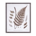 thumbnail image 7 of Melrose International Framed Fern Print (Set of 6), 7 of 7