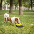 thumbnail image 5 of Step On Dog Wateet Water, 5 of 10