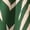 Green, variant on Gunia Girls Hawaiian Dress Fashion Floral Print Sleeveless Casual Party Kids Elastic Waist Comfortable Outfit Daily Wear Picnic Sundress For Holiday Beach Blue Dress For Girls 7-13 Years
