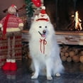 thumbnail image 5 of Festive Pet Christmas Hat Knitted Santa Cap Holiday Dress Up Winter Warm Accessory for Small Dogs and Cats, 5 of 5