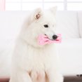 thumbnail image 4 of Dog Chew Toy,TPR Pet Dog Chew Dog Toy Dog Bite Toy Class Leading Features, 4 of 13