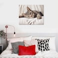 thumbnail image 4 of Nawypu  Relaxed Pet Feline Cat Nap Green Eyes, Canvas Wall Art, 4 of 4