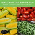 thumbnail image 5 of Survival Garden Staples Seed Vault 25 Pack - Heirloom Full Sun Annual Vegetables, 5 of 8