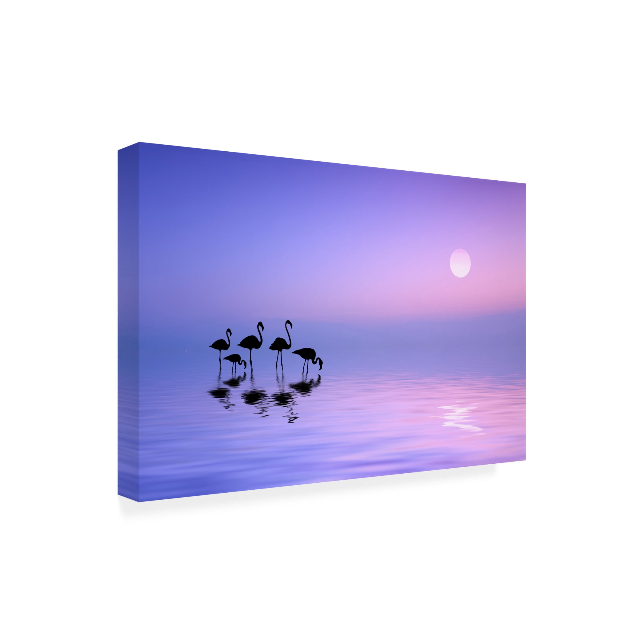 Canvas Wall Art - Bess Hamiti 'Morning Flamingo' Wall Art for Living Room, Bedroom, or Office D?cor by Trademark Fine Art - 19 x 12 Inches