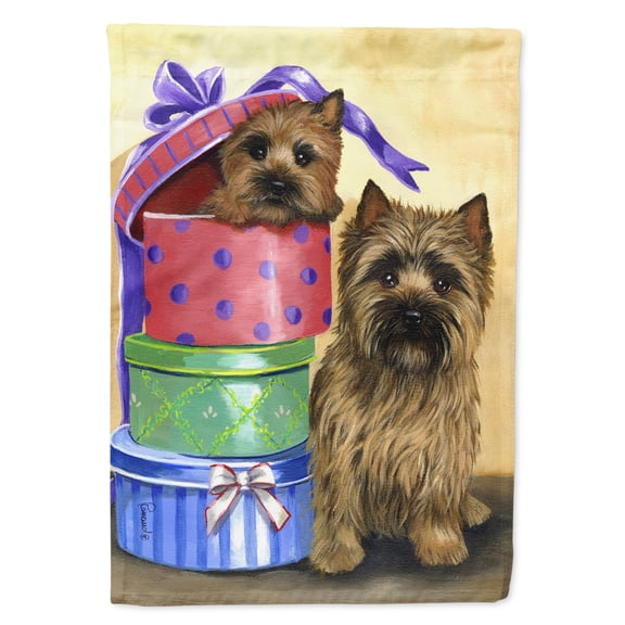 Carolines Treasures PPP3045CHF Cairn Terrier Boudoir Flag Canvas House Size Large multicolor