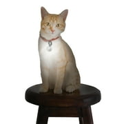 PetLit Collar Crystal Jewel