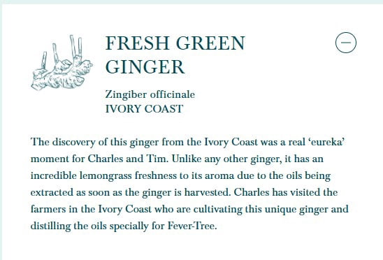 Fever-Tree Premium Ginger Beer 5.07 Fl Oz Cans 24 Pk