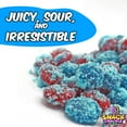 thumbnail image 4 of Snack Crackle Shop Sour Blue Raspberry Gushers Best Sour Gushers, Best Sour Gummies, Irresistible Extra Sour Gummy Candy, Blue Raspberry Flavor 30 Ounces, 4 of 5