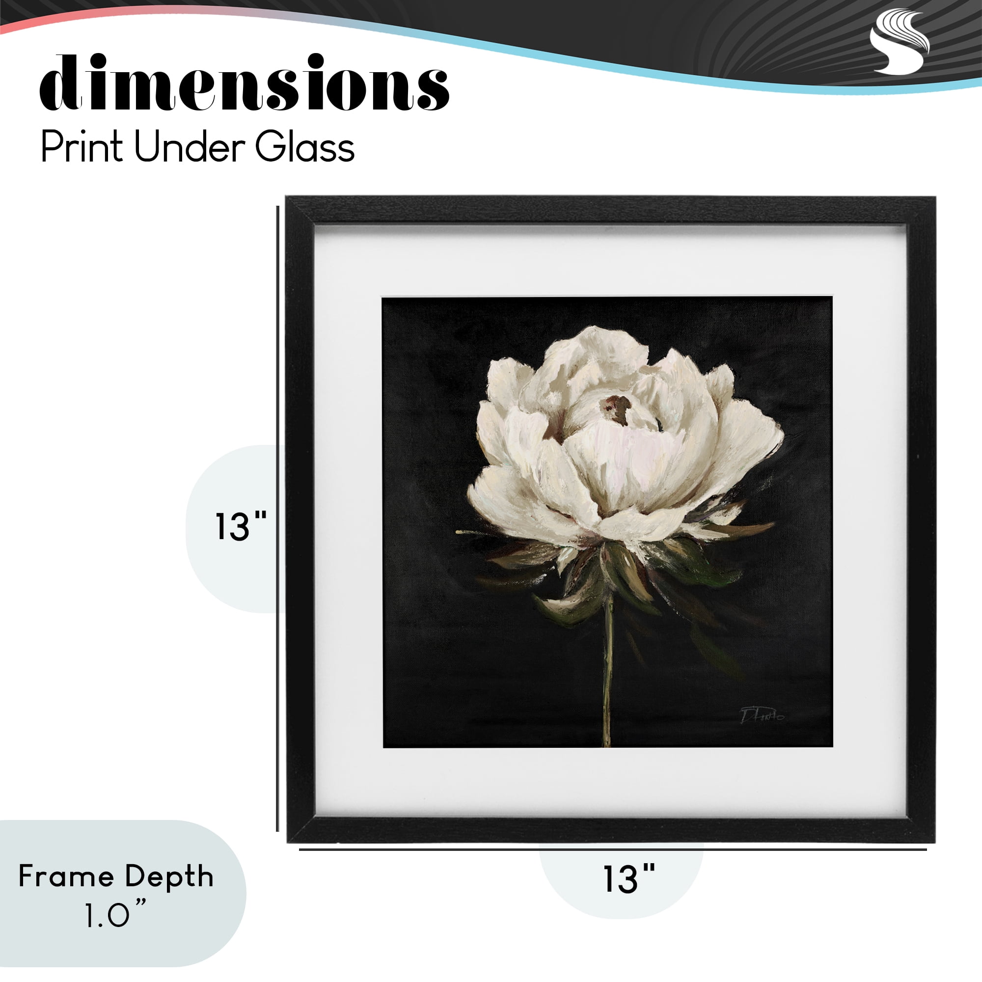 Stupell Industries Pretty Delicate Bloom on Black Black Framed Print Under Glass, design by Patricia Pinto