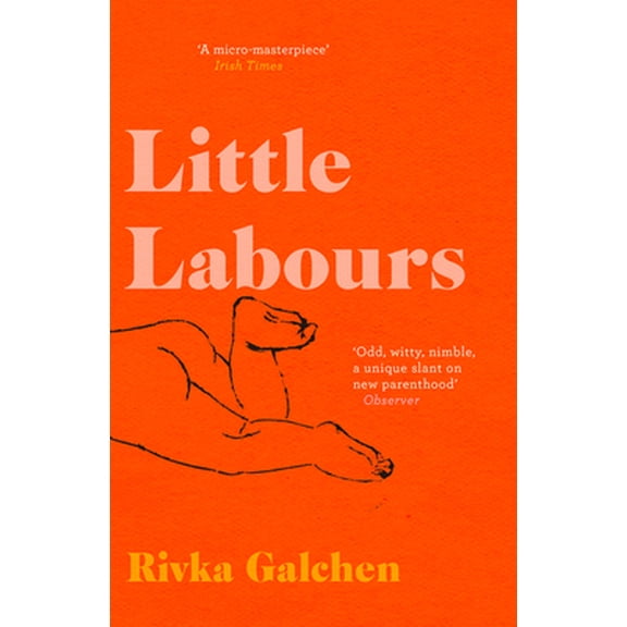 Pre-Owned Little Labours (Paperback) 0008225206 9780008225209