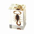 thumbnail image 1 of Ed Speldy East PW108 Poids à Papier Vrai Bug Régulier-Petit-Scorpion, 1 of 4