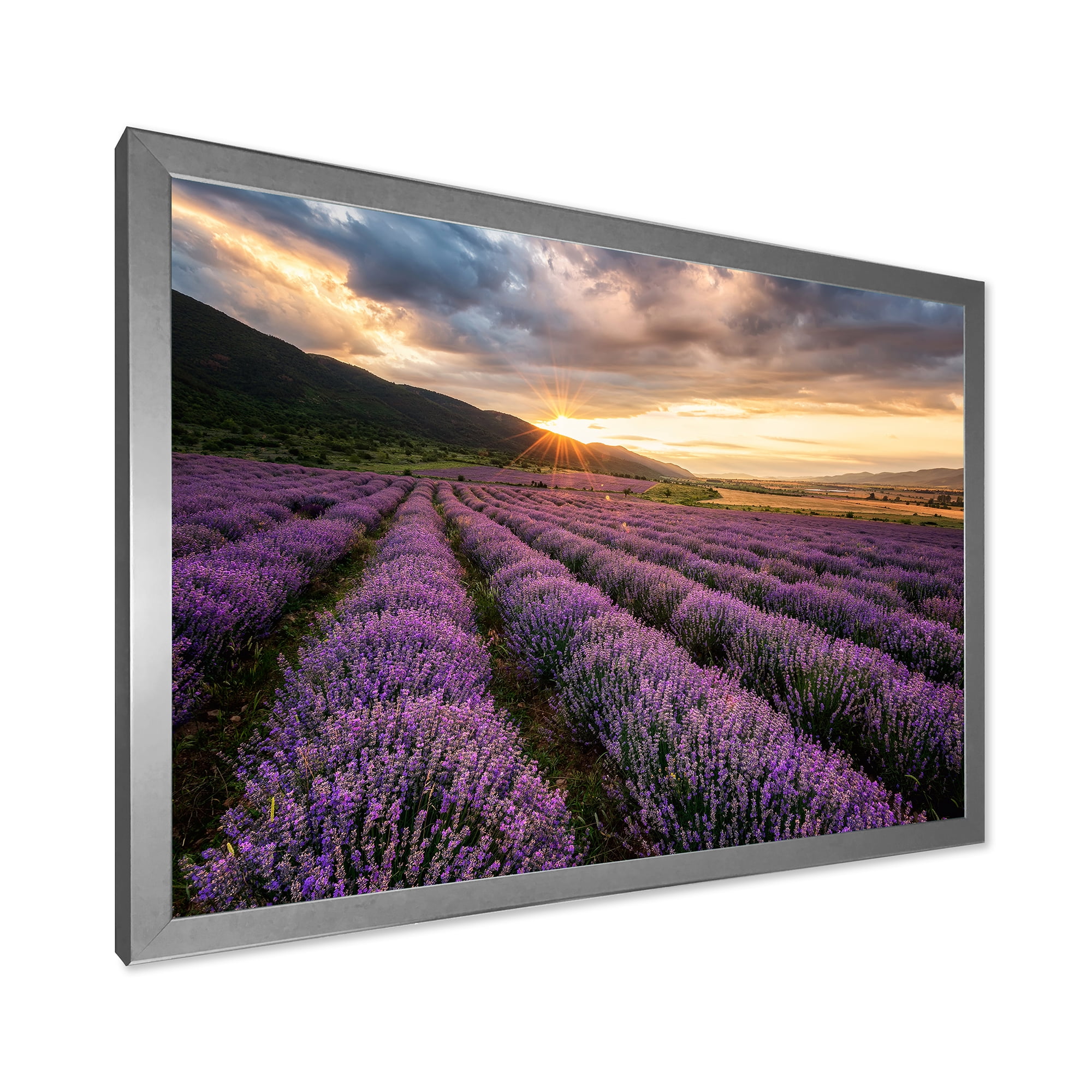 Designart 'Dramatic Clouds and Sunrise Over Lavender Field VI' Farmhouse Framed Art Print