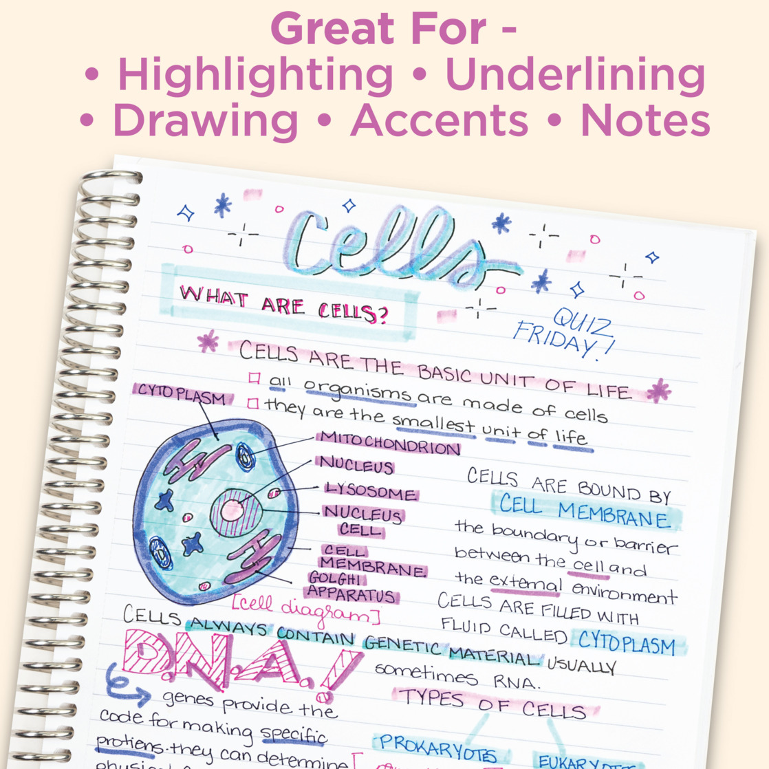 Zebra Pen Mildliner Double-Ended Highlighter Set - 10 Pack photo 6
