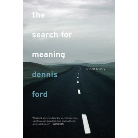 The Search for Meaning: A Short History, Used [Paperback]