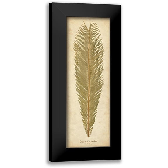 Davis, Becky 7x14 Black Modern Framed Museum Art Print Titled - Sago Palm I