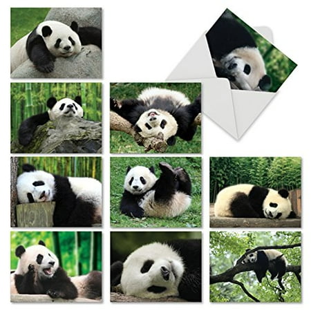 'M6471TYG POOPED PANDAS' 10 Assorted Thank You Note Cards Featuring Passed Out Pandas Sweetly Sleeping After a Long Hard Day of Playful Antics with Envelopes by The Best Card