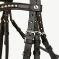 thumbnail image 5 of Horze Classic Dressage Ergonomic Bridle with Curved Browband, 5 of 8