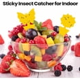 thumbnail image 7 of Minzimin 50 Sheets Fruit Fly Sticky Traps for Fruit Fly Gnat Trap for House Indoors Sticky Traps Catcher for Gnats Fungus Gnats Mosquito Catcher Kitchen Outdoor Plants Classic Style, 7 of 7