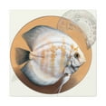 thumbnail image 1 of Discus in Magnificent Splendor - Canvas, 1 of 10