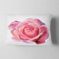 thumbnail image 2 of Designart Pink Rose Sketch on White Background - Flowers Throw Pillowwork - 12x20, 2 of 5