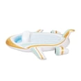 thumbnail image 3 of Play Day Private Jet Float, 3 of 5