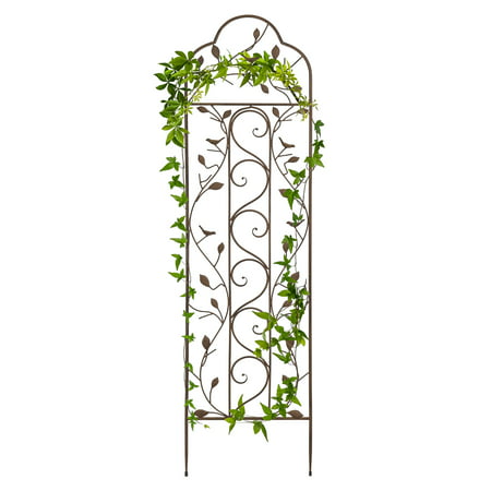 Best Choice Products 5' Iron Arched Garden Trellis - (Best Trellis For Cherry Tomatoes)