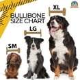 thumbnail image 2 of Bullibone Nylon Dog Chew Toy Nylon Bone - Improves Dental Hygiene, Easy to Grip Bottom, and Permeated with Flavor Beef Small - 2 Pack, 2 of 4