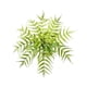 thumbnail image 2 of CaiYueKe Artificial Boston Fern Plants Bushes Fake Shrubs Bush Greenery Plants Faux Fern Plant for Outdoors UV Resistant Garden Plants or Home Office Desk Indoor Decor, 2 of 7