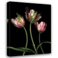 thumbnail image 1 of Andrew Levine 28x36 Gallery Wrapped Canvas Wall Art Titled - Parrot Tulips II, 1 of 4