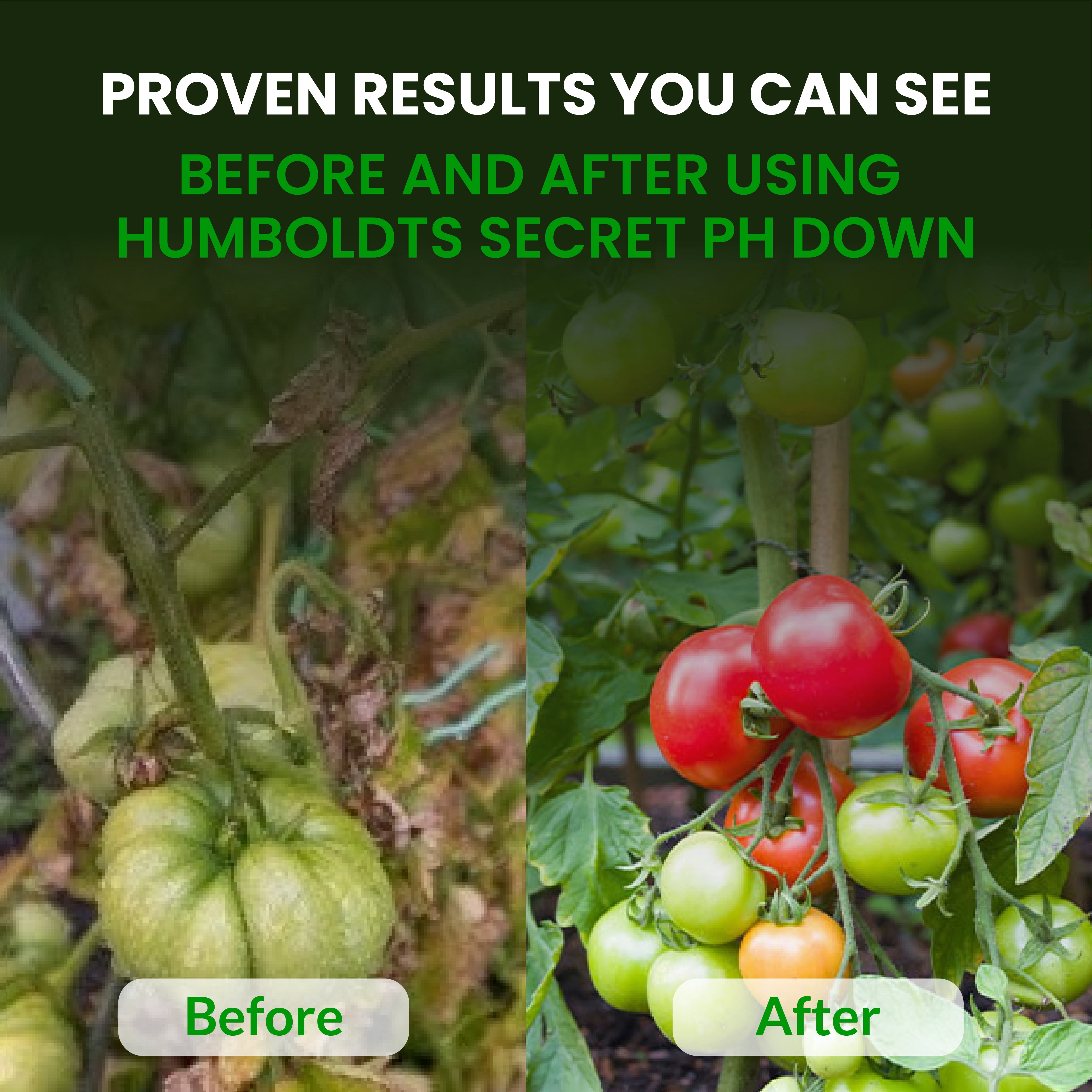 Humboldts Secret pH Down for Plants | Liquid pH Adjuster and Balancer for Soil Coco Hydroponics | Concentrated Phosphoric Acid Solution Supporting Nutrient Uptake and Strong Growth | 1 Gallon