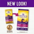 thumbnail image 3 of Wellness Complete Health Natural Grain Free Salmon & Herring Indoor Dry Cat Food, 5.5 Pound Bag, 3 of 8