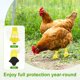 thumbnail image 5 of Uxcell 1-Par de Zapatos para Pollos, Botas Antideslizantes de Malla para Pies de Gallinas/Gallo Uso Interior Exterior [Amarillo, Tamaño M], 5 of 6