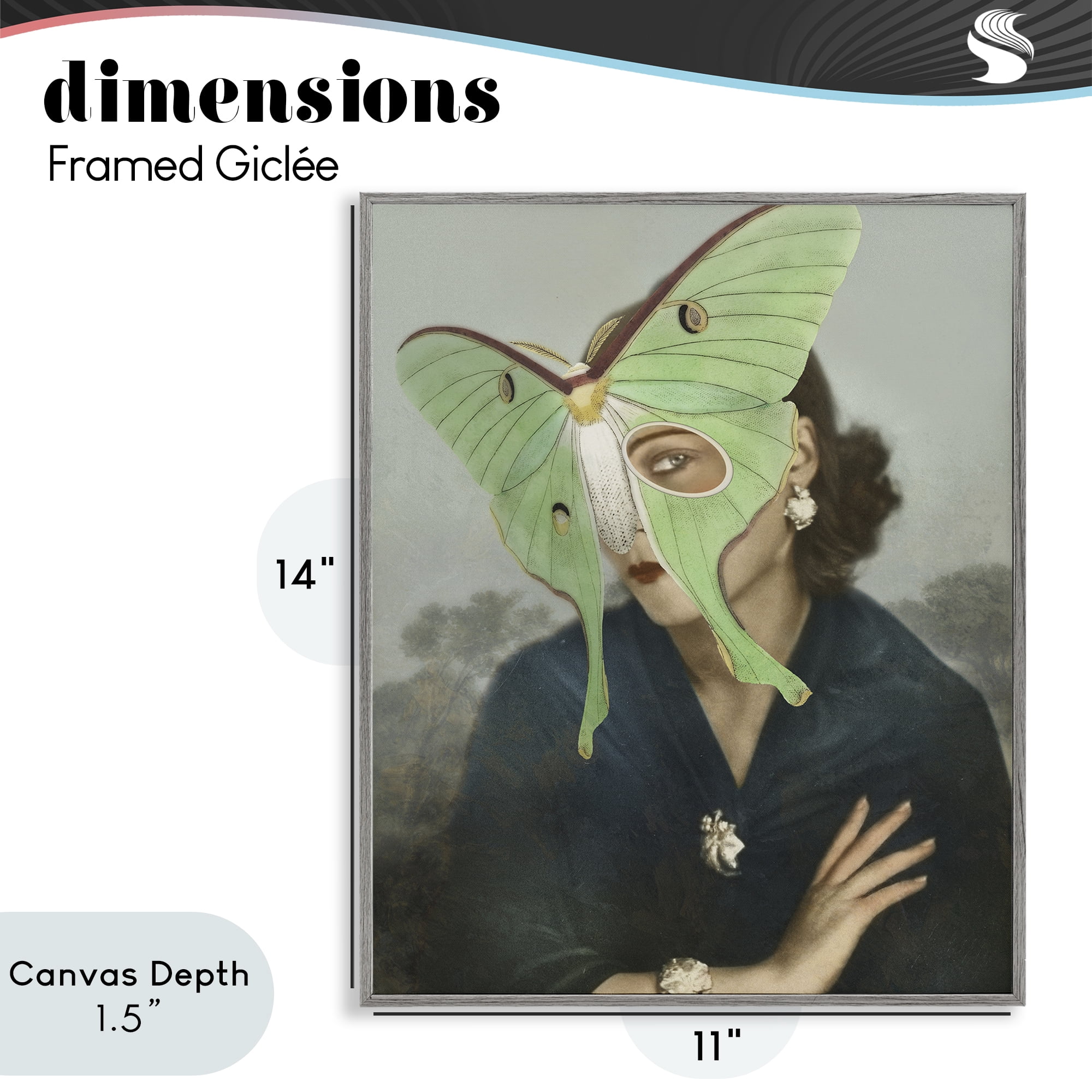 Stupell Industries Naturalist Portrait with Moth Gray Framed Giclee Art, design by Victoria Barnes