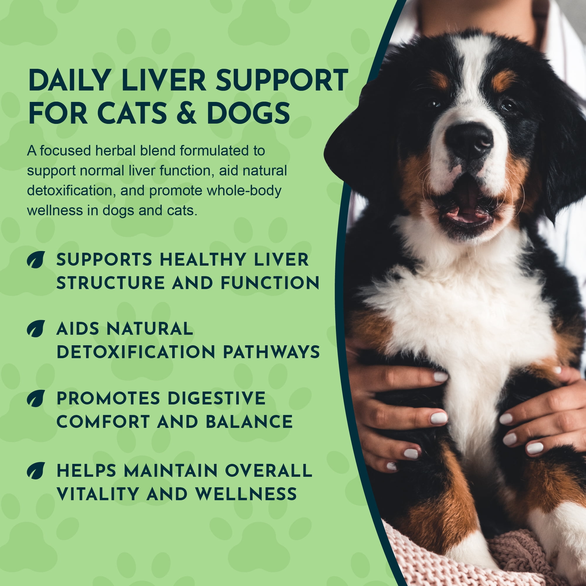 Animal Essentials Liver Defense Growth Dog & Cat Supplement, 2 Oz