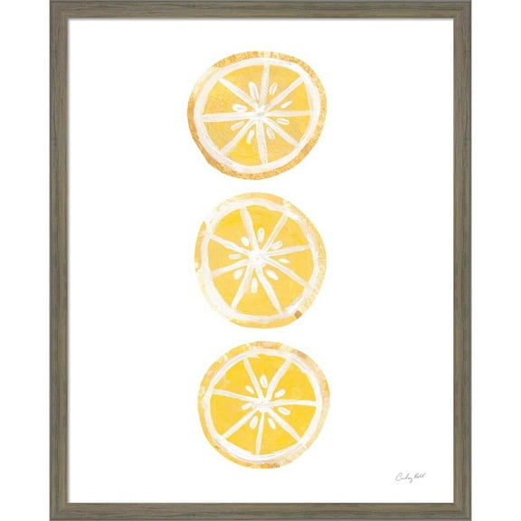 Great Art Now Lemon Slices II by Courtney Prahl, Framed Wall Art, 17W x 21H