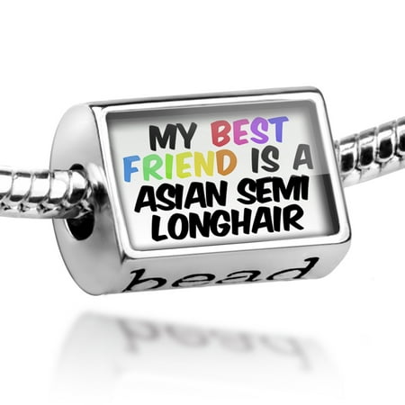 Bead My best Friend a Asian Semi-longhair Cat from Great Britain Charm Fits All European