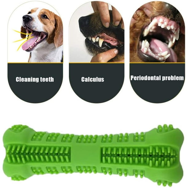 Doggo care toothbrush best sale