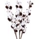 thumbnail image 1 of 3 Piezas Flores de Algodón Natural Ramo de 6 Cabezas de Flores Secas Naturales Deco Blanco Rama de Algodón Seco de 72 cm con Piñas para Balcón Arreglo Floral de Mesa de Boda, 1 of 5