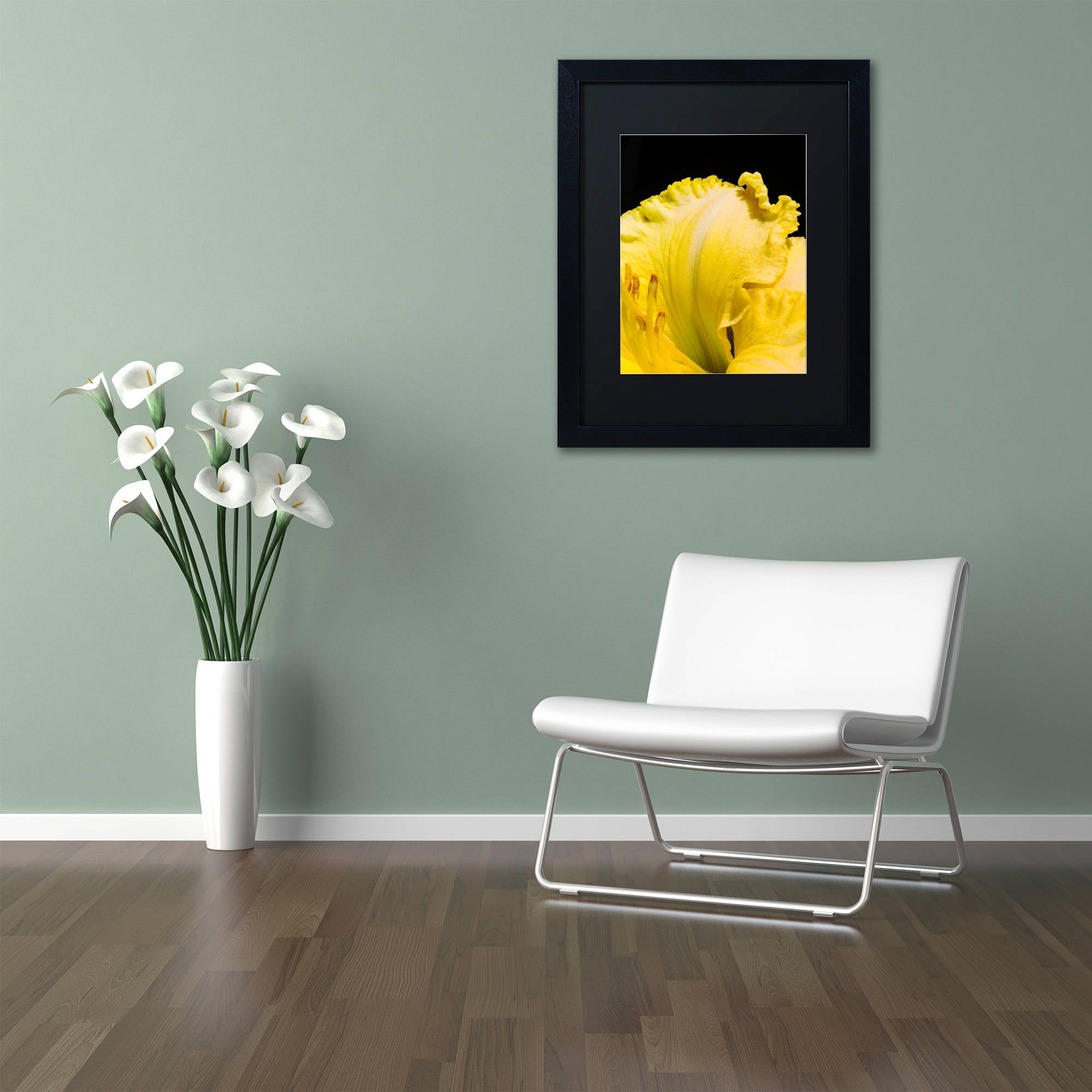 Trademark Fine Art "Day Lily Abstract" Canvas Art by Kurt Shaffer, Black Matte, Black Frame