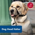thumbnail image 2 of Coastal Walk'n Train Head Halter, Black, 2, Medium, 2 of 3