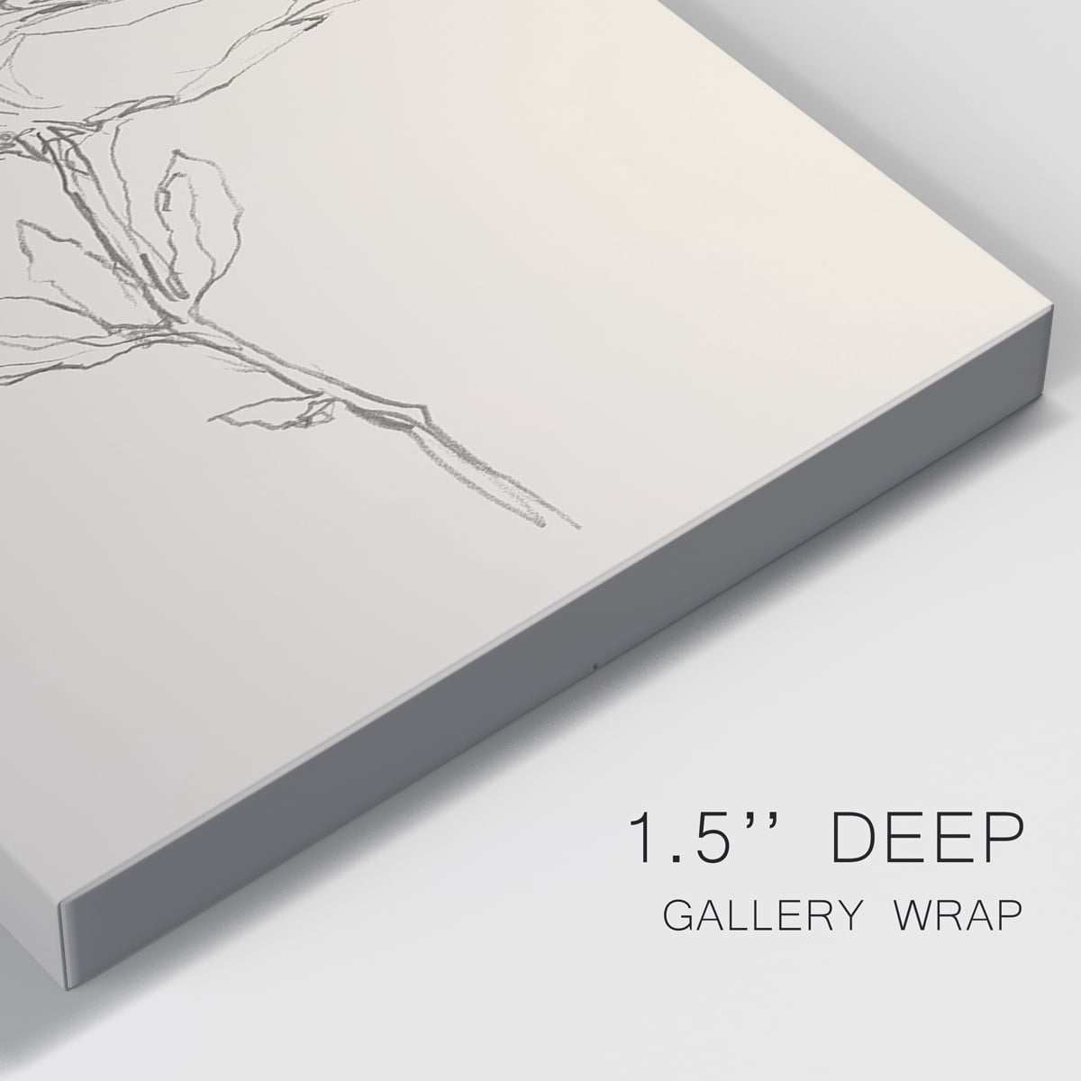 Floral Contour Study IV Premium Gallery Wrapped Canvas - Ready to Hang - 12 x 18 Each